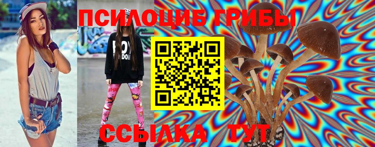 Псилоцибиновые грибы мицелий Пугачёв